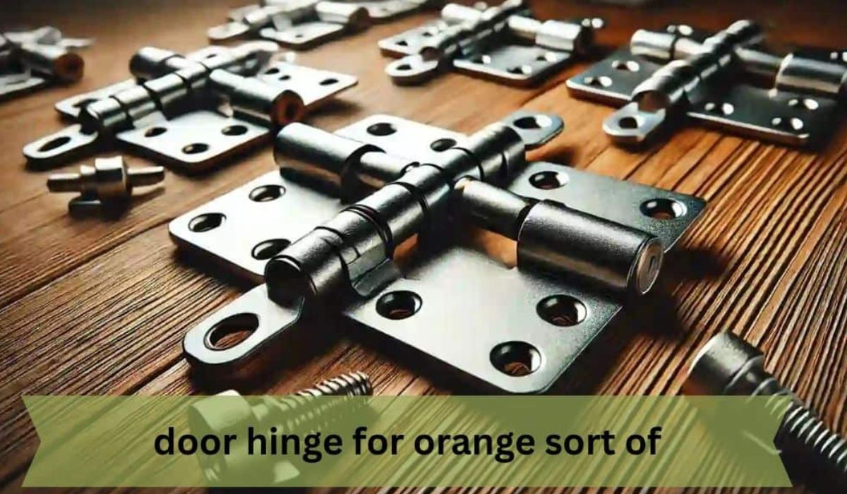 door hinge for orange sort of