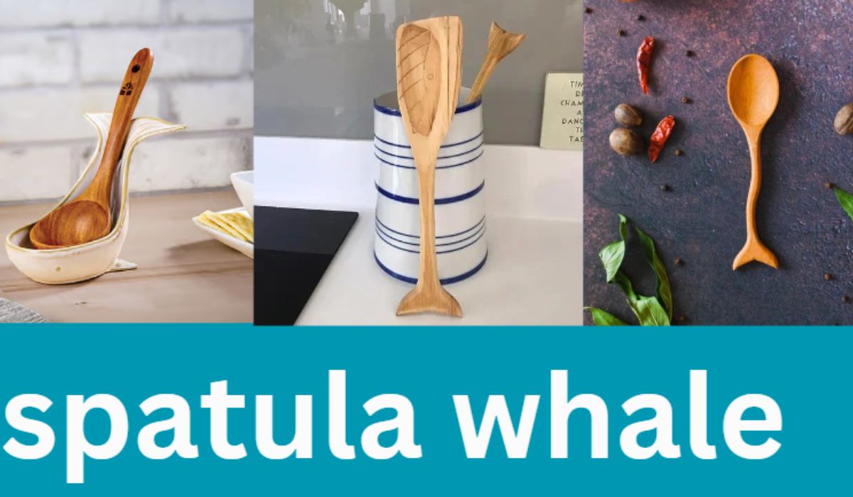 spatula whale meaning